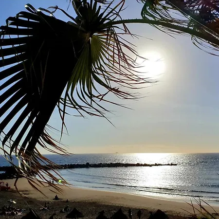 Parque Royal Torviscas Playa Wi-fi 600mb Адехе